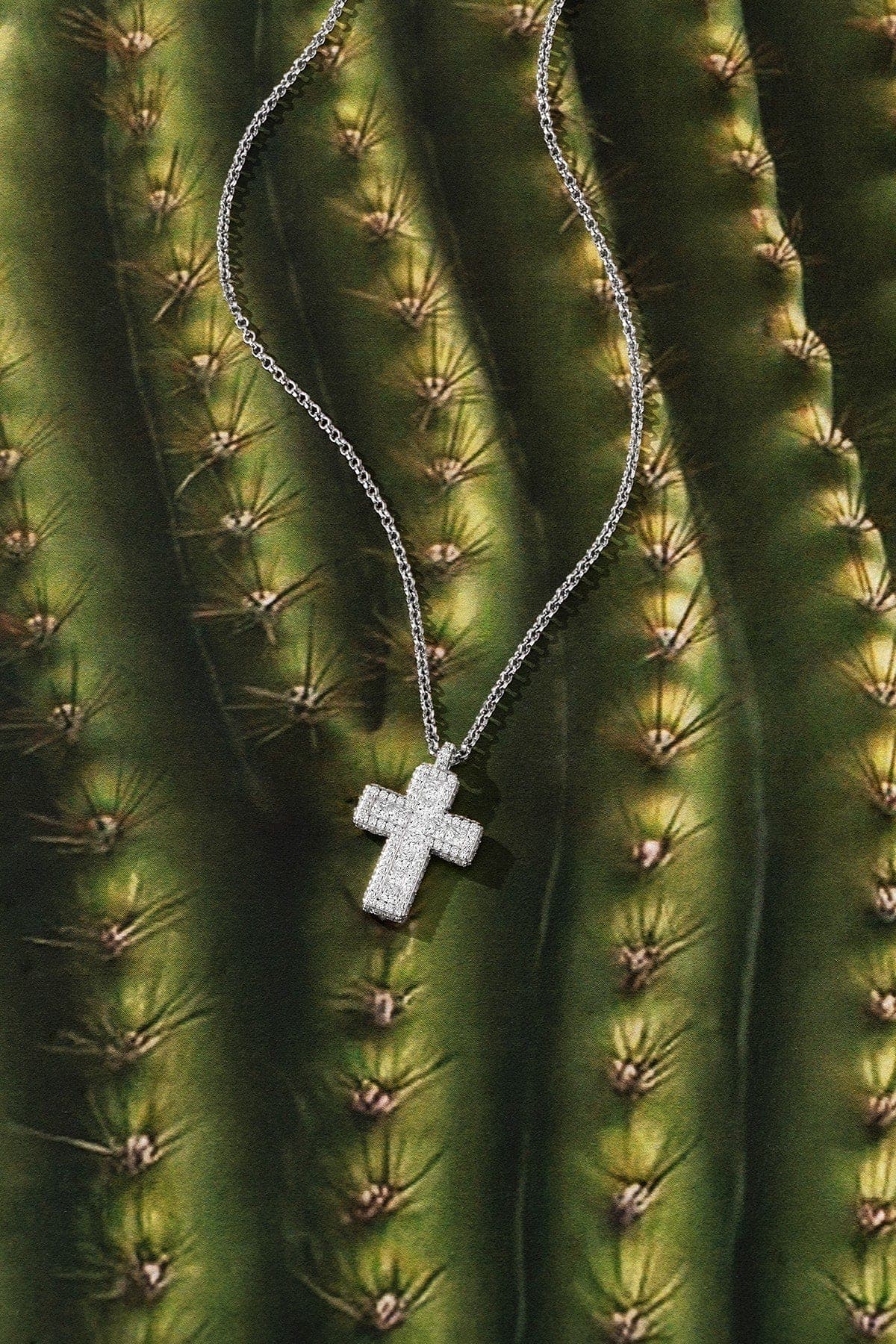 Silver cross necklace on a cactus